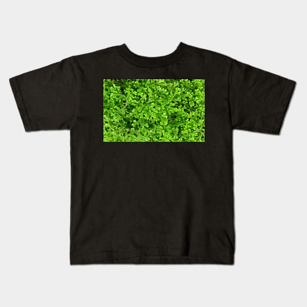 Lush Green Leafy Plants Kids T-Shirt by softbluehum